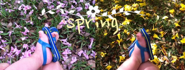 primavera